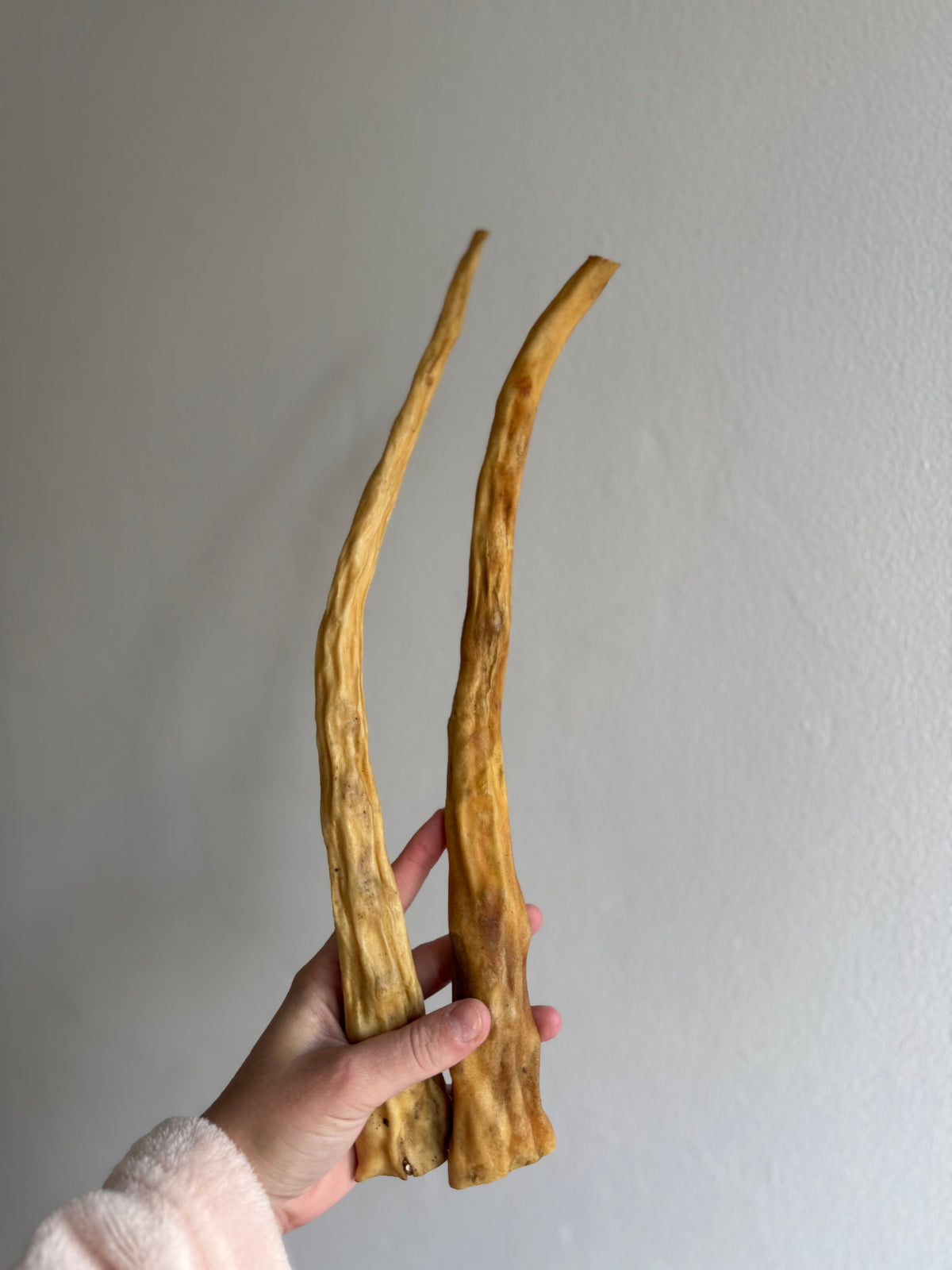 Buffalo tail