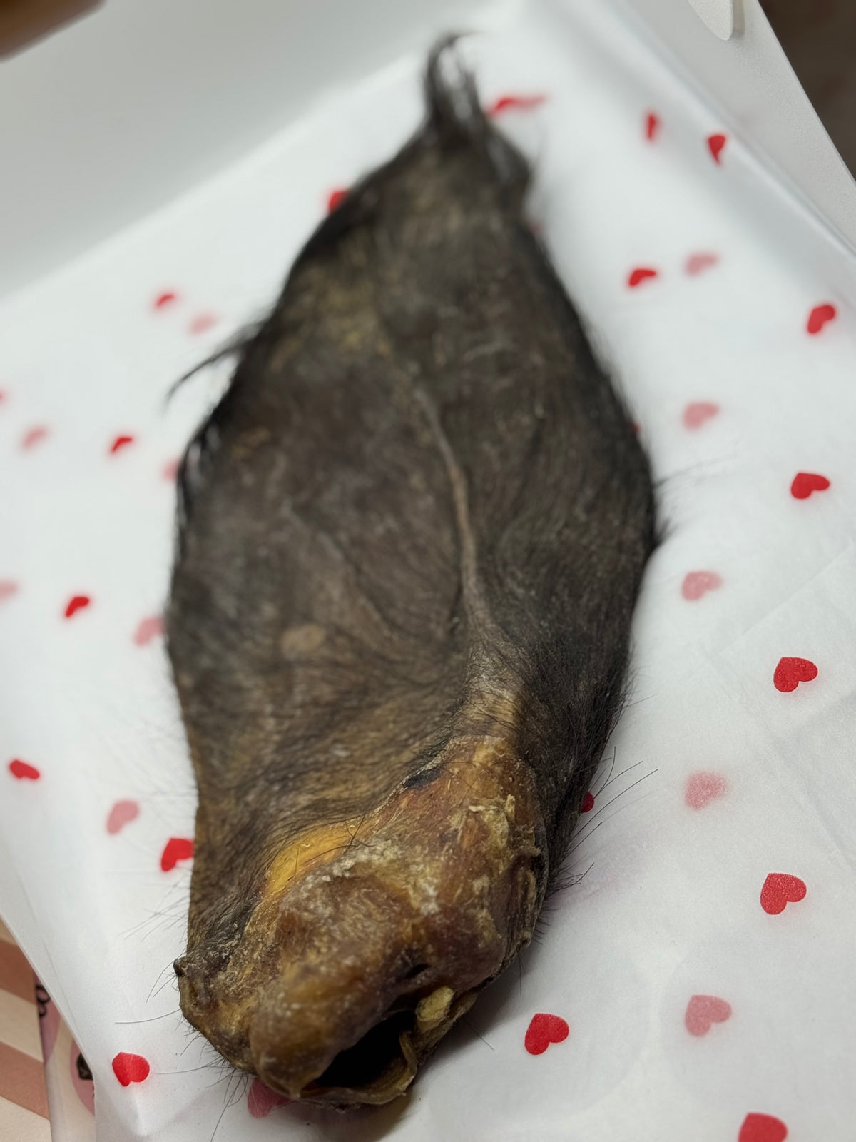 Large Buffalo ear