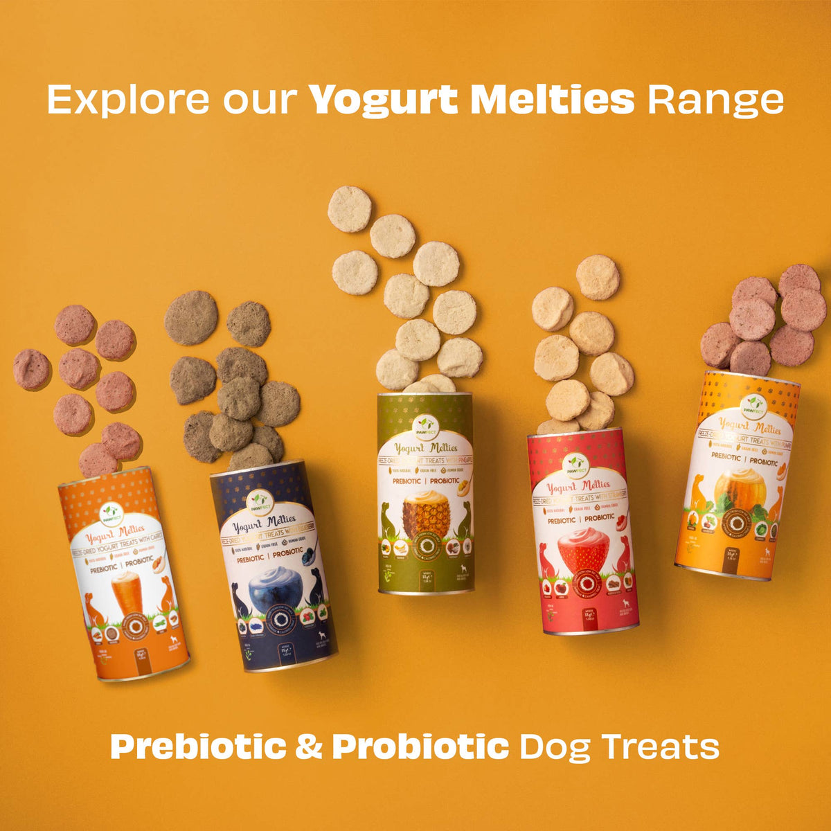Pawfect Yogurt Melties Pre and Probiotic Dog Treats with Pumpkin, Beetroot, Cabbage & Fennel seeds | Healthy Gut | Low Calories | Grain & Gluten Free | Reward or Training Treats (38g/1.34oz)
