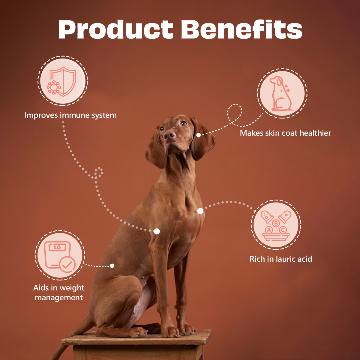 Pawfect Nature's Munch Freeze-Dried Coconut Treats for Dogs | Vegan | Skin & Coat Shine | 100% Natural | Grain & Gluten Free | Low Calorie Training Treats (60g/1.94oz)
