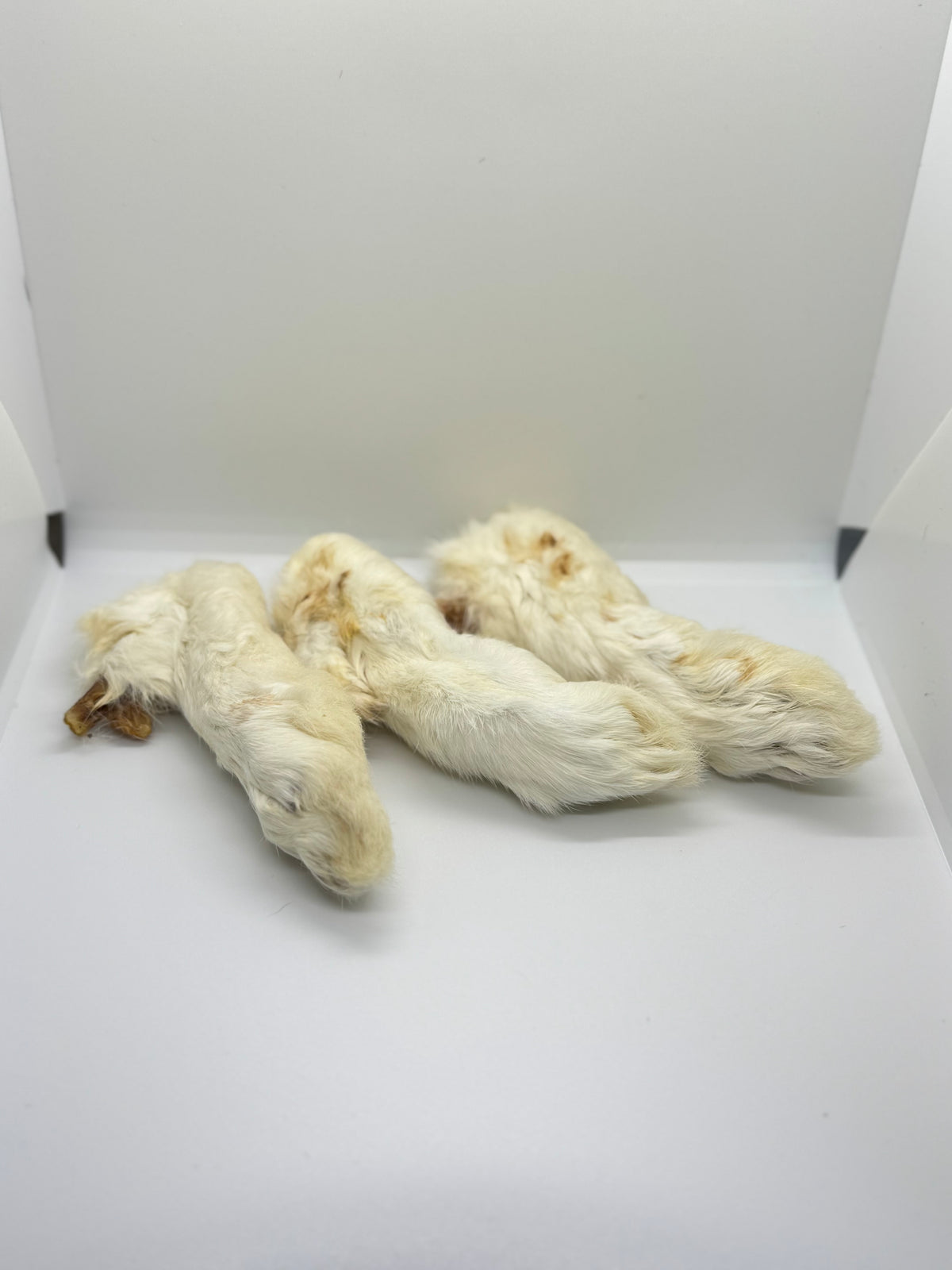 Rabbit foot